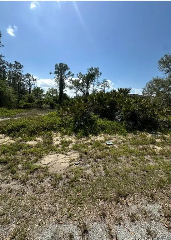 1327 St Augustine Drive, KISSIMMEE