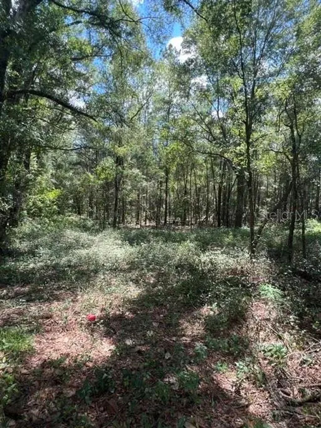 16958 Nw Us Hwy 441 Highway Nw, HIGH SPRINGS