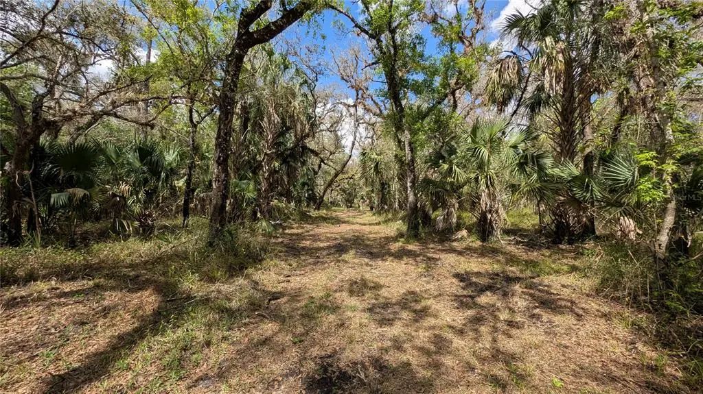 Gillette Road, ZOLFO SPRINGS