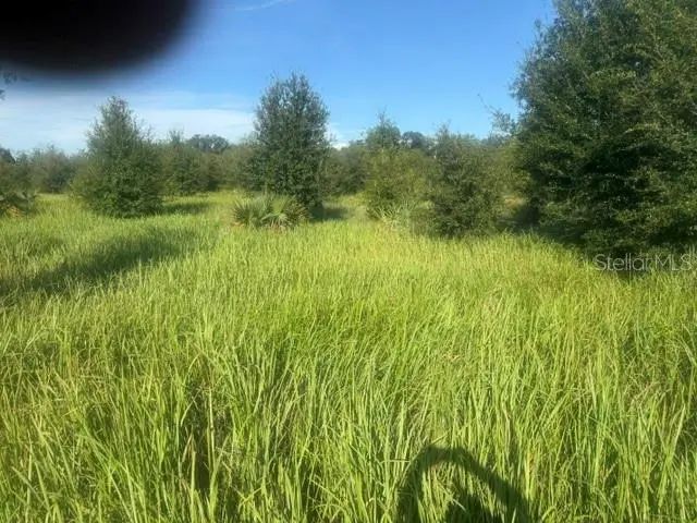 Photo of Listing #L4964960