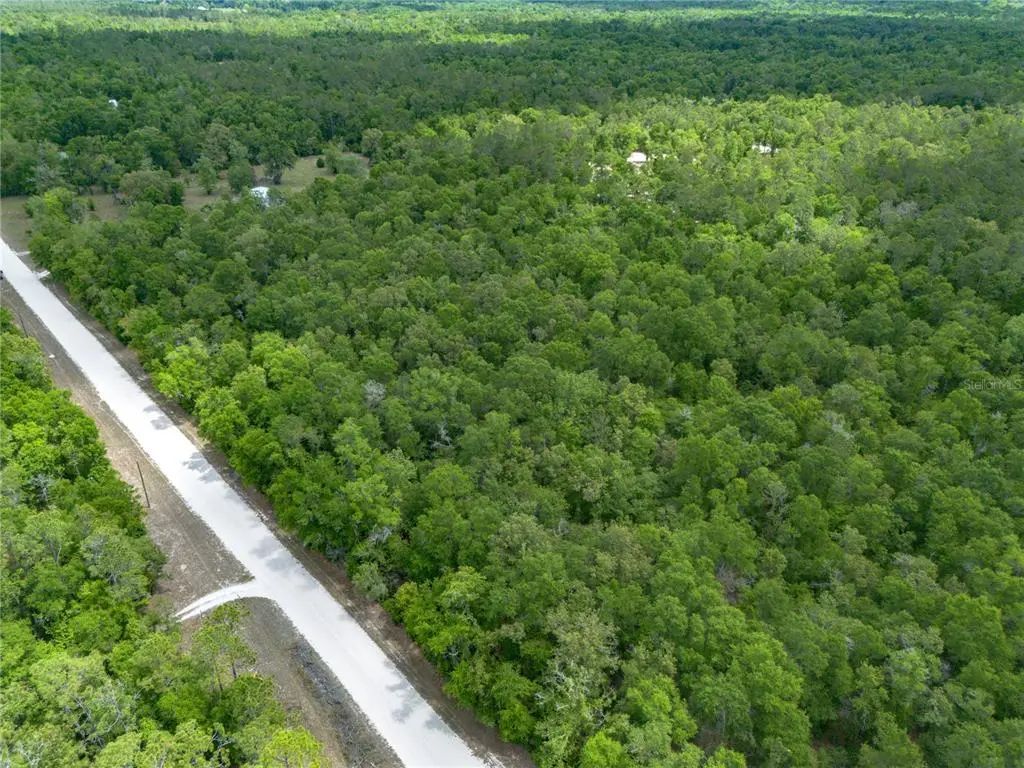 Sw Loncala Loop, FORT WHITE