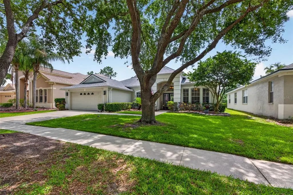 18127 Heron Walk Drive, TAMPA