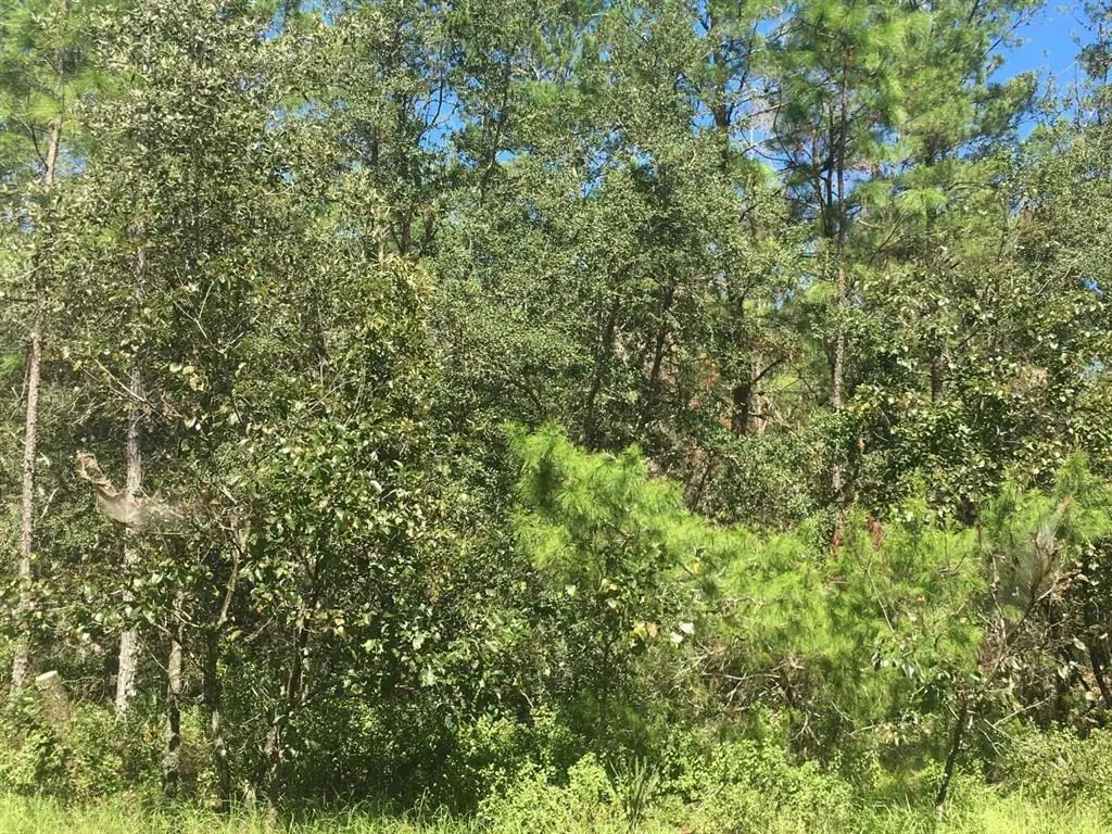 45th Terrace Road, OCALA