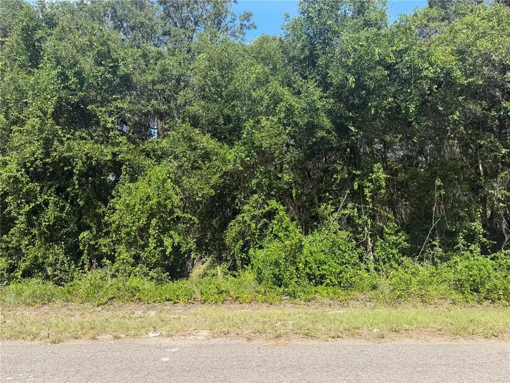 Tbd Guava Terrace, OCKLAWAHA