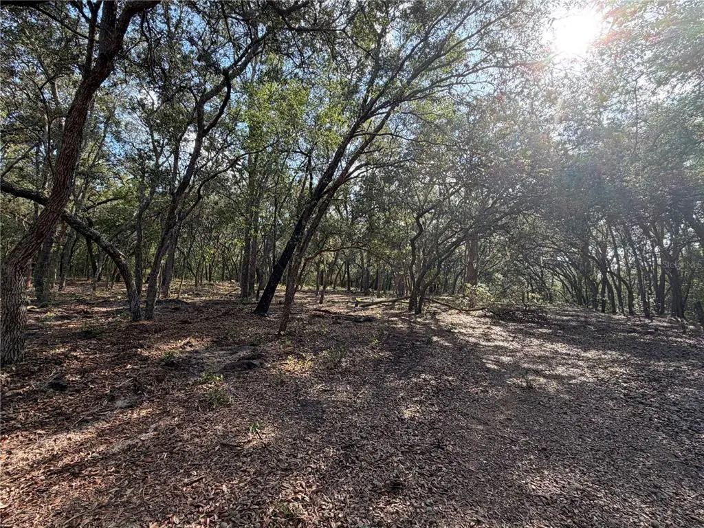 103 Sw 53rd Avenue, INTERLACHEN