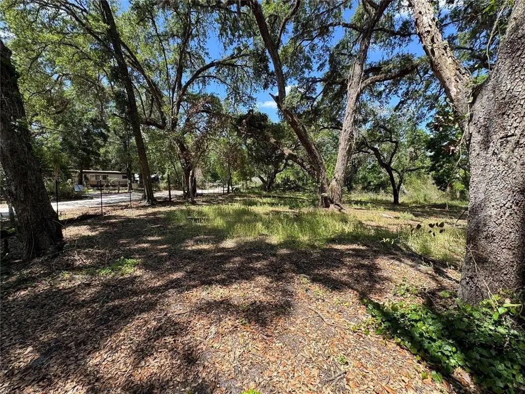 Tannahill Street, DADE CITY