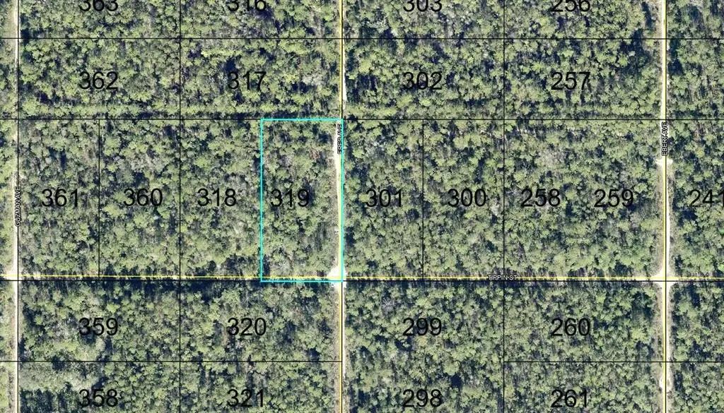 319 Tippin Street, HASTINGS