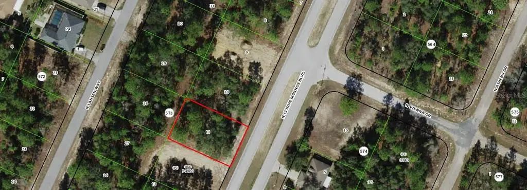 8900 N Citrus Springs Boulevard, CITRUS SPRINGS