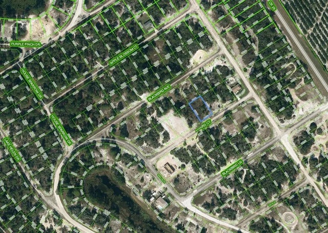 452 Blackbird Court, LAKE PLACID