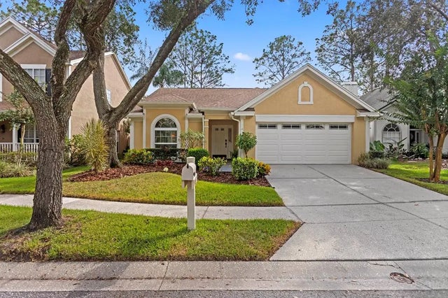 9415 Oak Meadow Court, TAMPA
