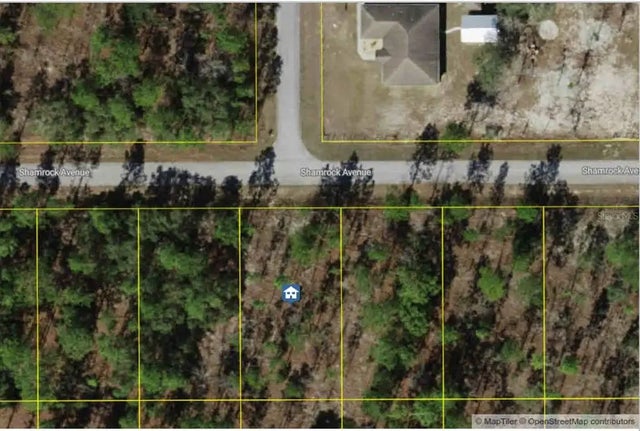 Lot 9 Nw Shamrock Avenue, DUNNELLON