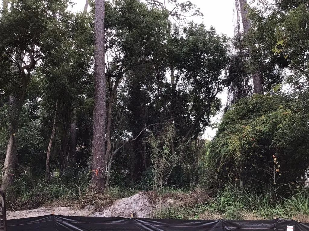 1294 Almaria Court, PALM HARBOR