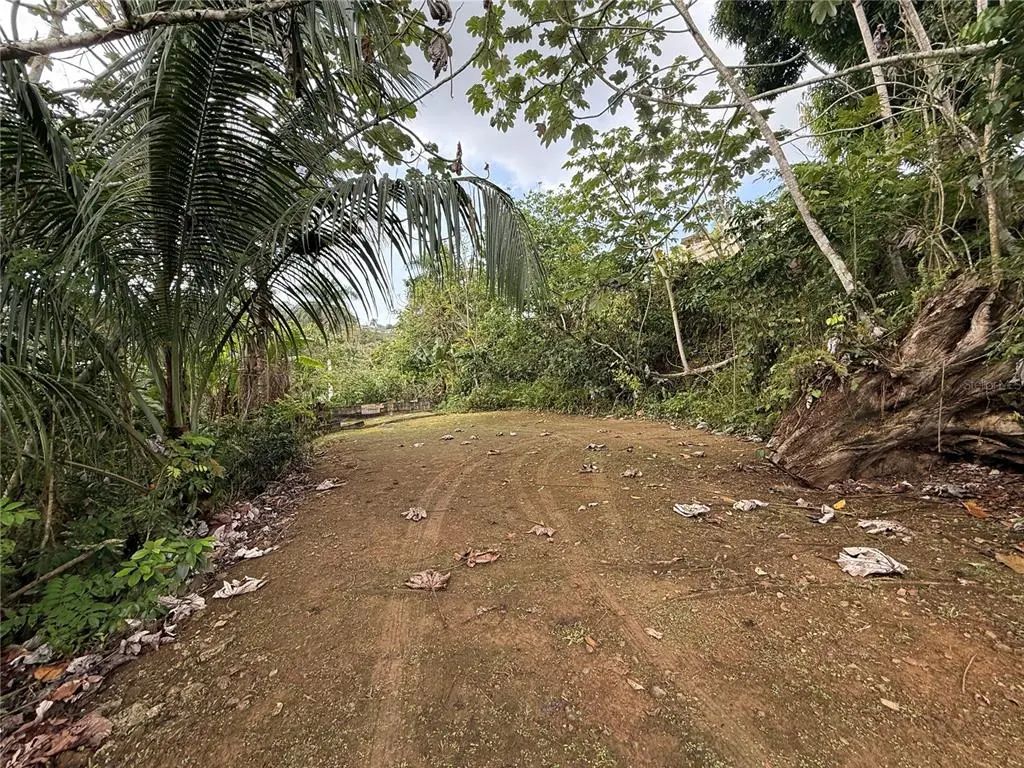 835 Km 5.4 Int,. Lot 8 Mamey Wd Lot 8, GUAYNABO