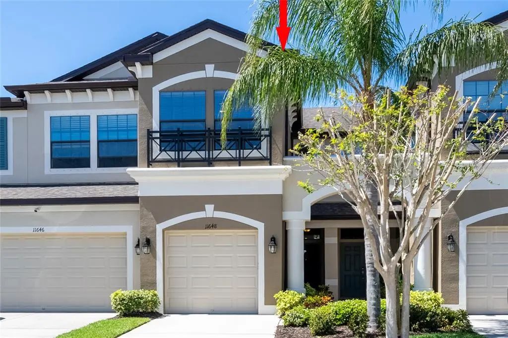 11648 Crowned Sparrow Lane, TAMPA