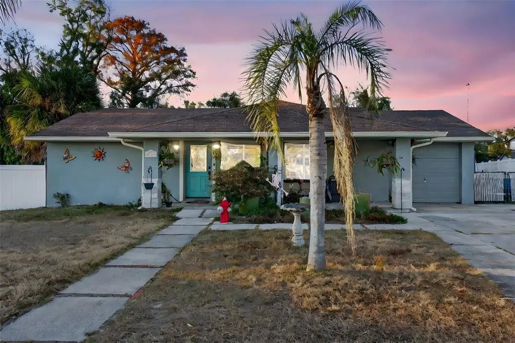 6724 Amundson Street, TAMPA