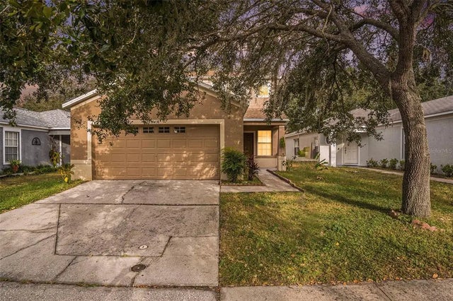 10438 Blackmore Drive, TAMPA