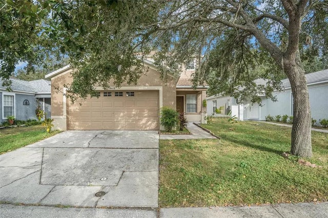 10438 Blackmore Drive, TAMPA