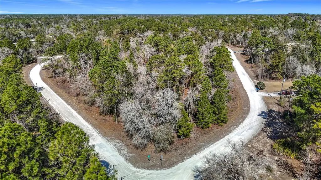 16070 Sheldrake Loop, WEEKI WACHEE