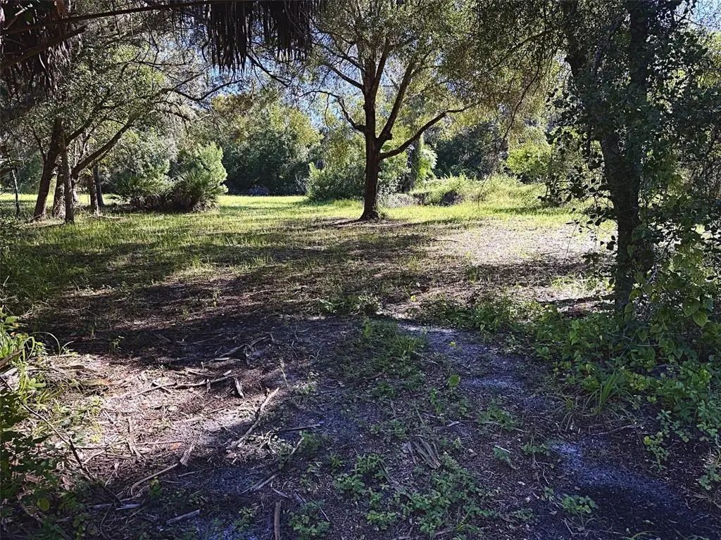9630 Ellis Street, NEW PORT RICHEY