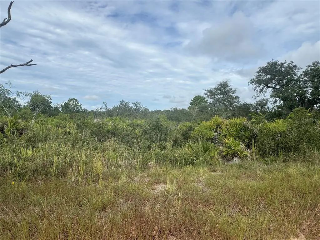 3022 W Petaluma Road, AVON PARK