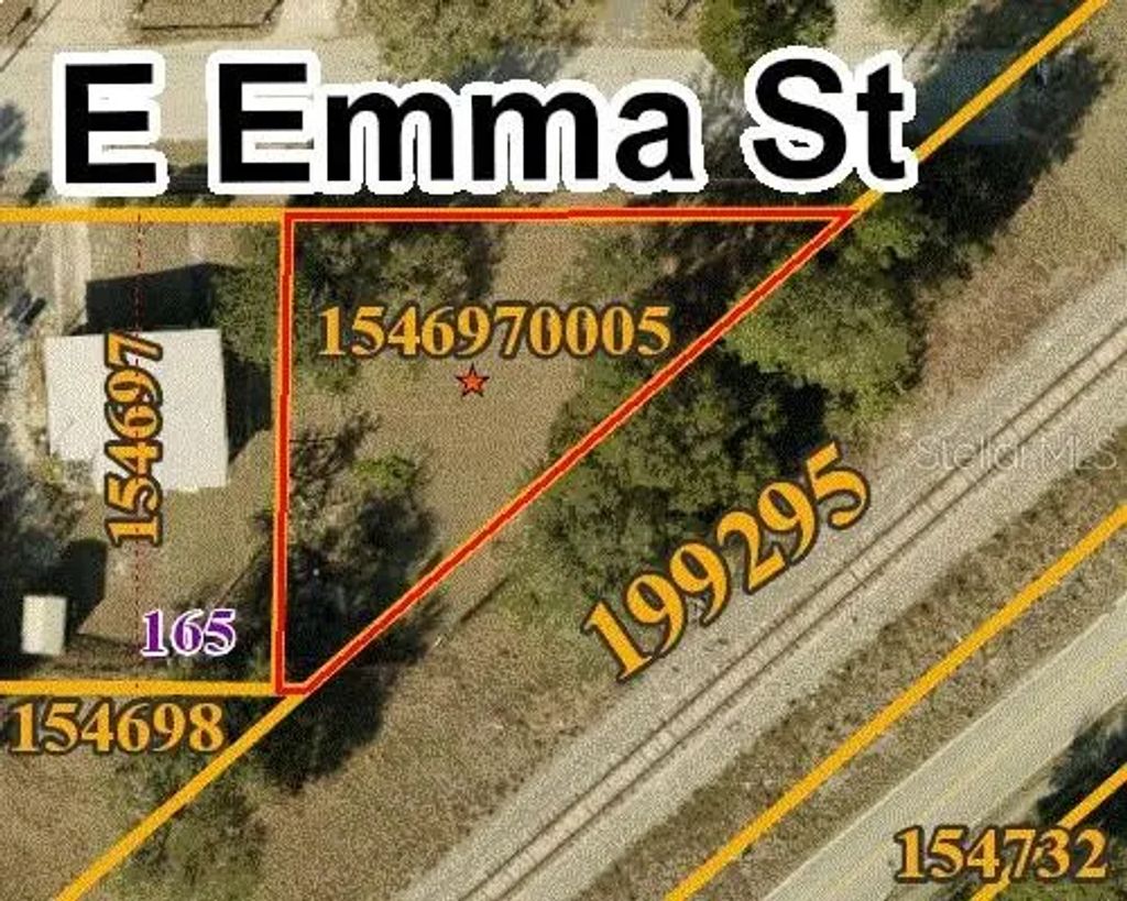 4209 E Emma Street, TAMPA
