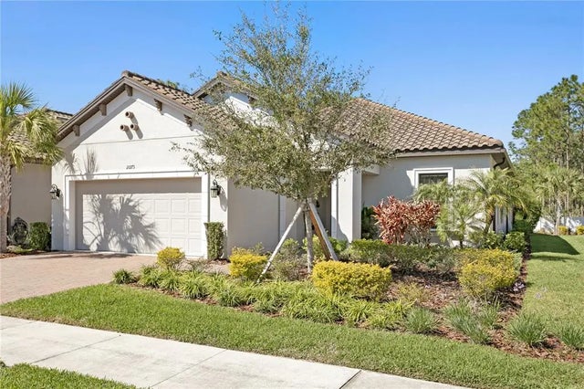 20173 Umbria Hill Drive, TAMPA