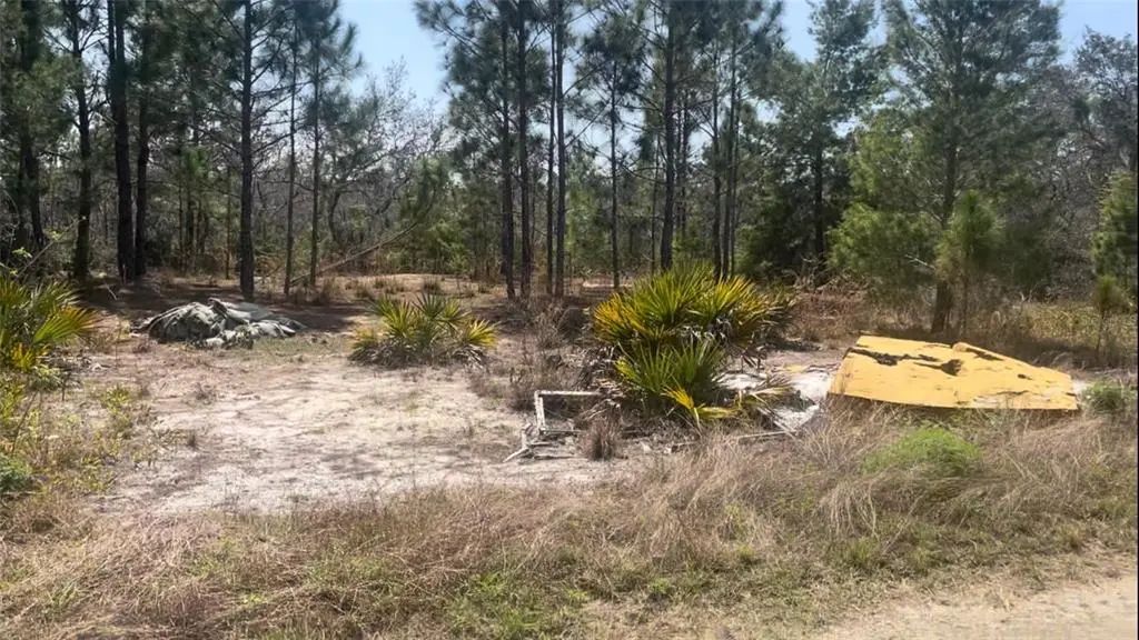 246 Caspian Tern Avenue, SEBRING