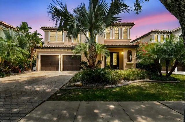 20347 Chestnut Grove Drive, TAMPA