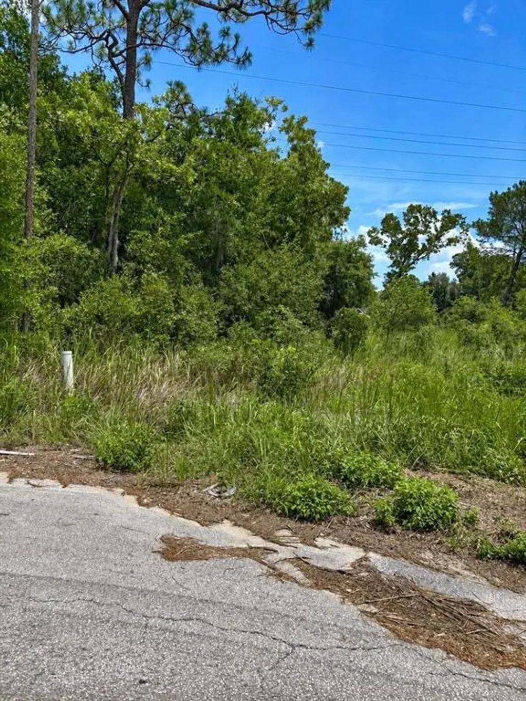 Water Track Lot 08, OCALA