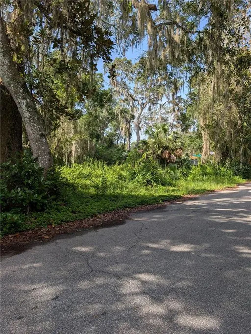6650 N Beechnut Loop, HERNANDO