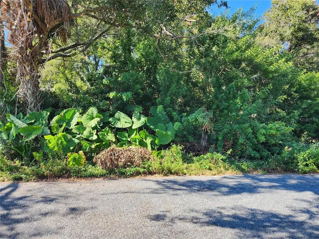 Atis Street Lot #9, NEW PORT RICHEY