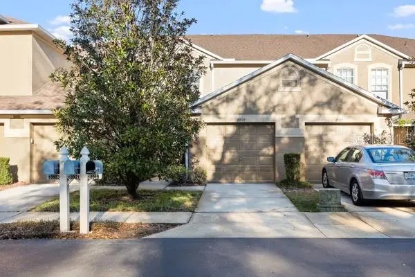 18919 Duquesne Drive, TAMPA