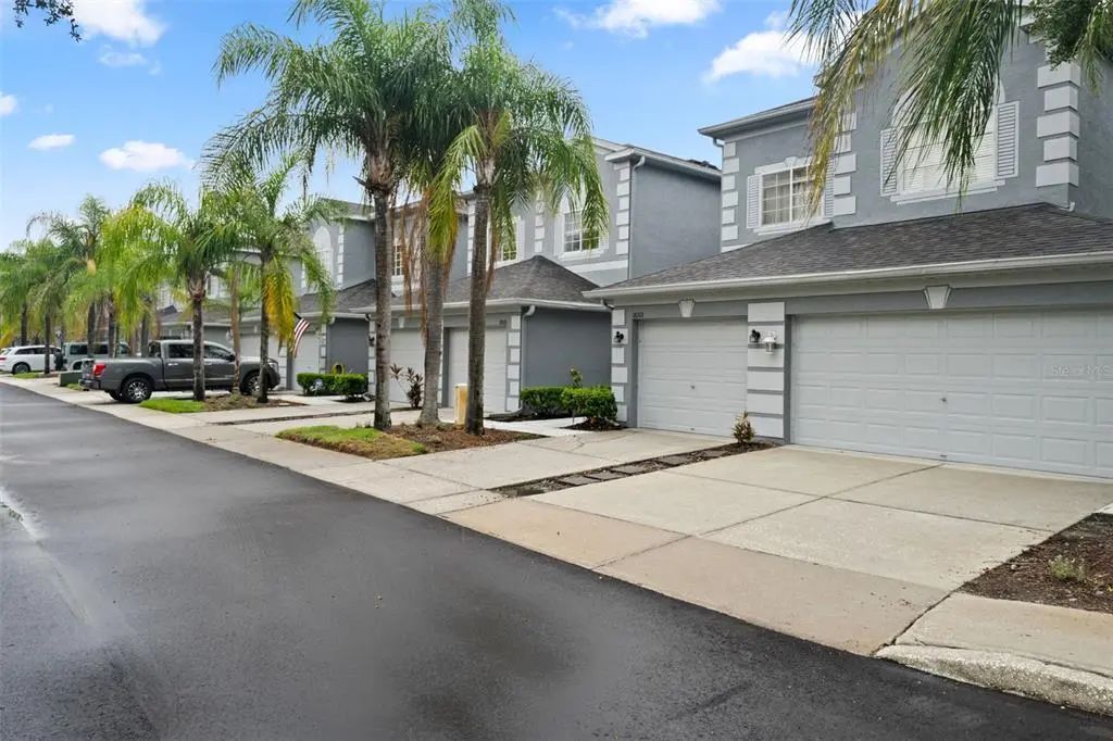 18105 Nassau Point Drive, TAMPA