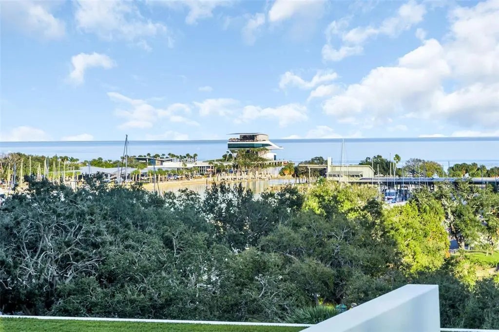 175 1st Street S 702, ST PETERSBURG