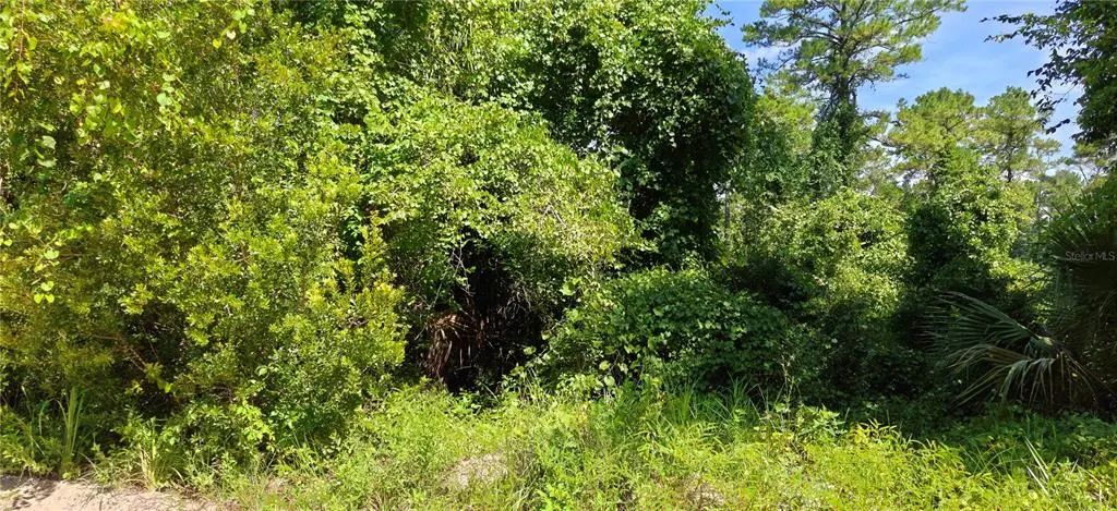 212 N 2nd Avenue, SATSUMA