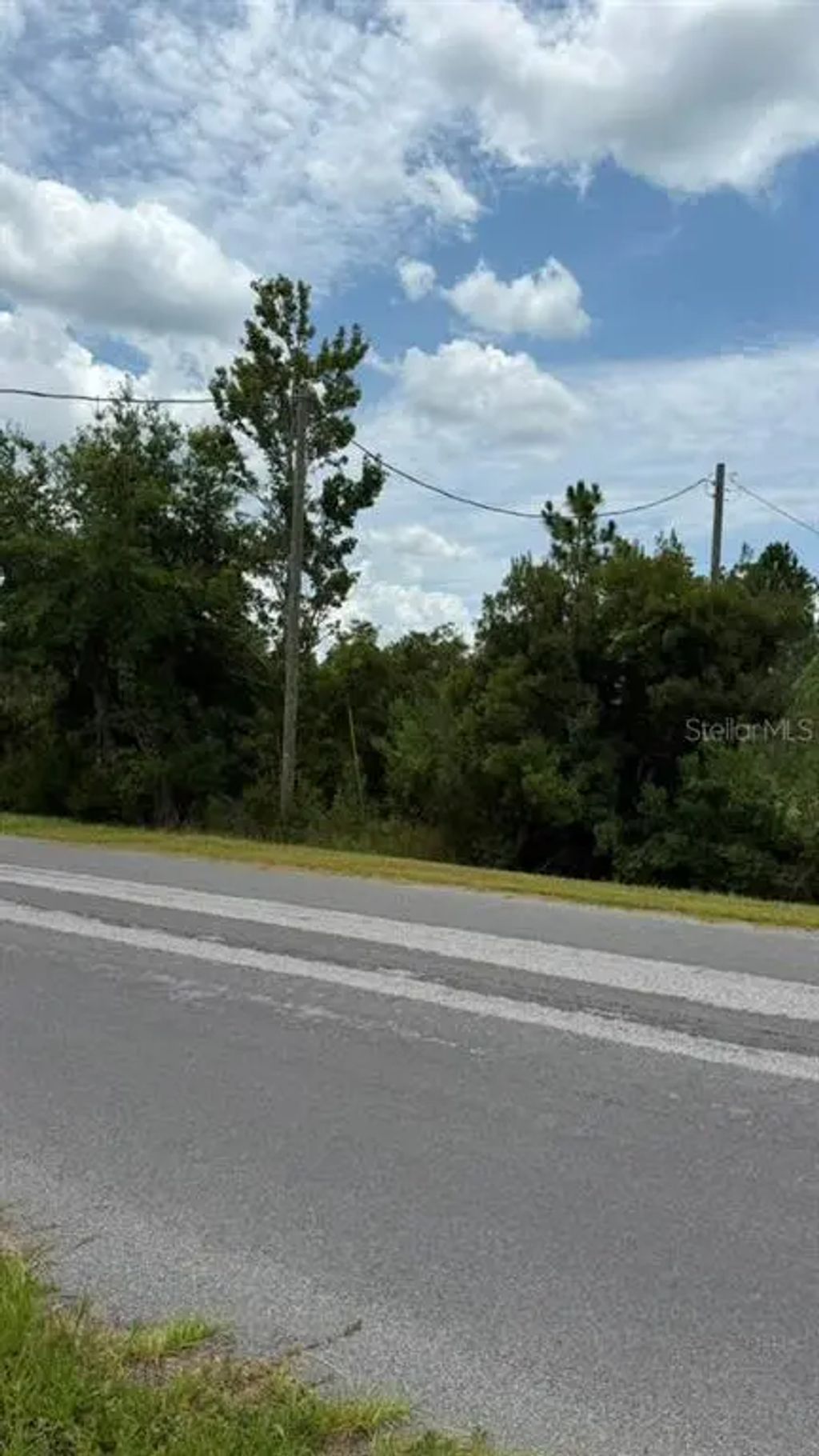 Nettleton Street, ORLANDO