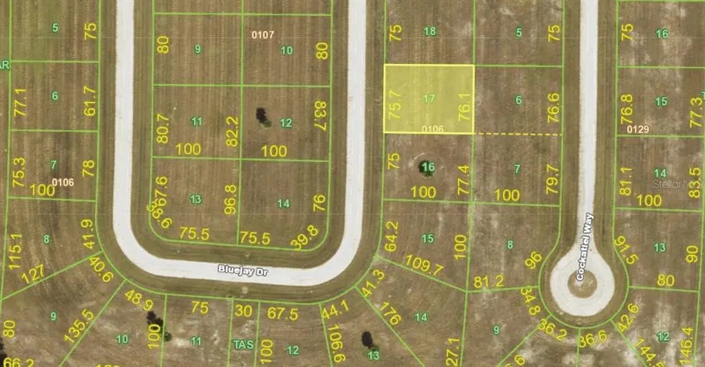 Photo of Listing #C7524457