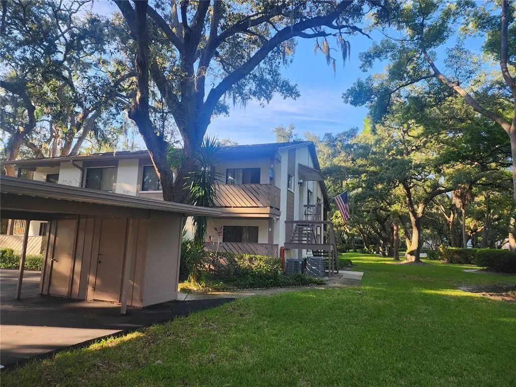 603 Baldwin Avenue B, SAFETY HARBOR
