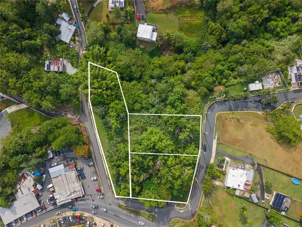 Ave. Santa Juanita, Minillas Ward, BAYAMON
