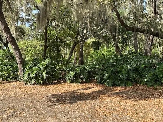 Country Club Road, WINTER HAVEN