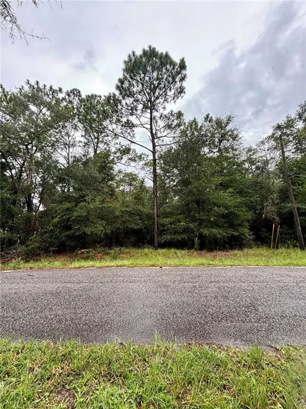 Lot 28 Sw 206 Circle, DUNNELLON