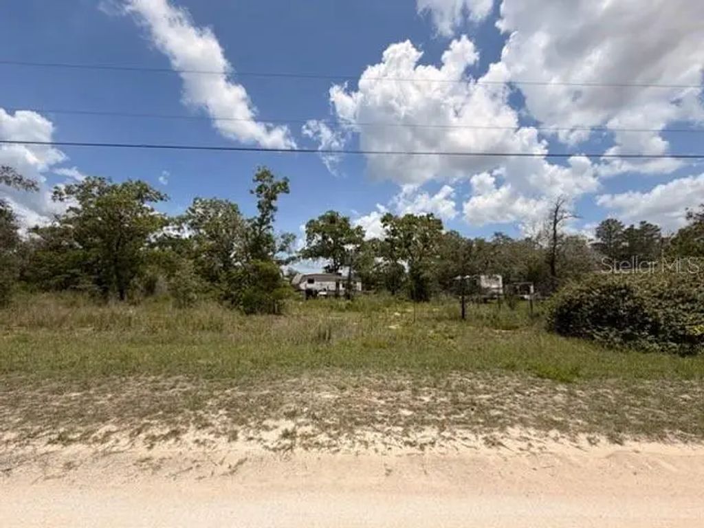 Fulmar Road, WEEKI WACHEE