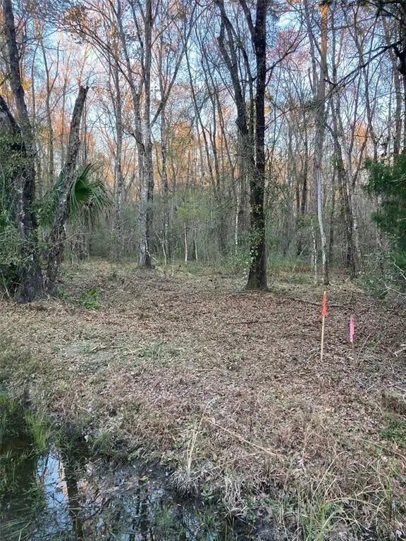 10450 Weatherby Avenue, HASTINGS