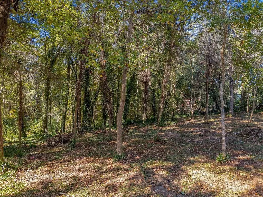 Glennis Court, TALLAHASSEE
