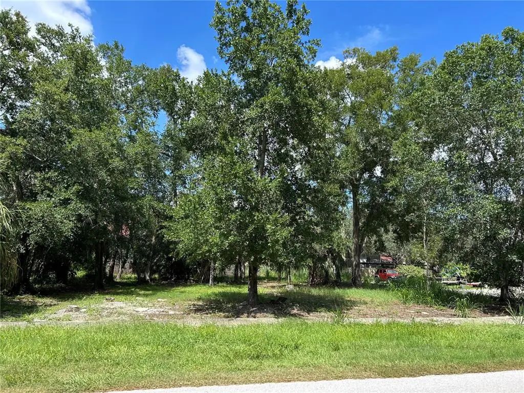 Ventnor Avenue, TARPON SPRINGS