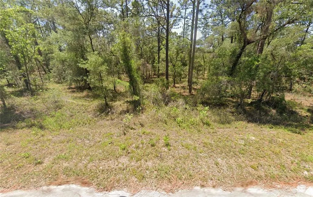 156 Nw Redwing Road, DUNNELLON