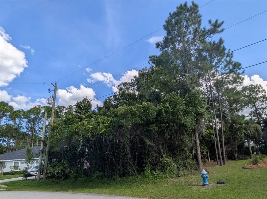 7 Seckel Ct, PALM COAST