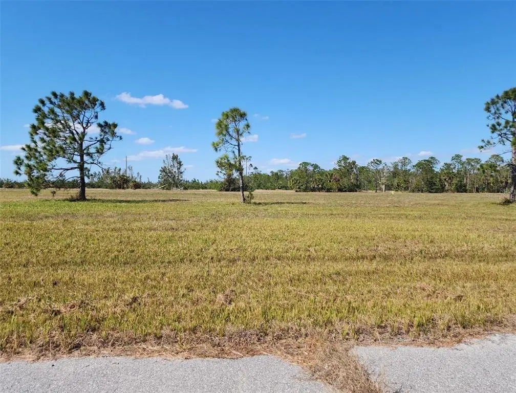 Photo of Listing #O6344723