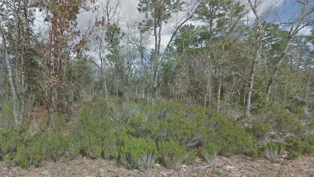 217 Cypress Street, INTERLACHEN
