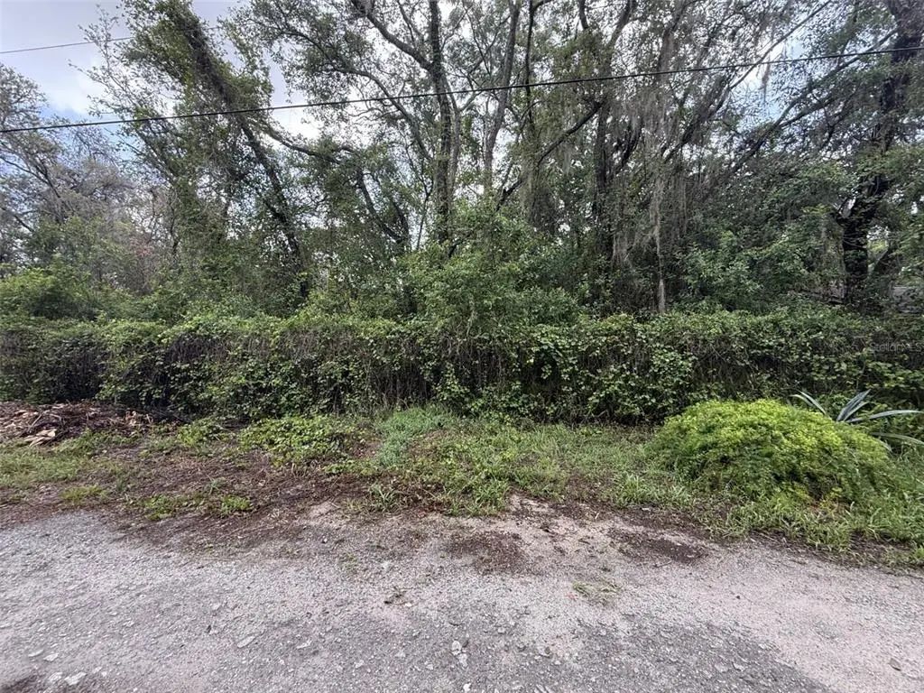 10934 Leon Street, NEW PORT RICHEY